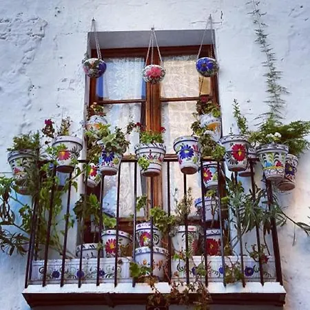 Ashanti Bay Luxury Golf